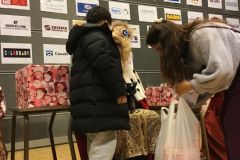 Reyes Magos, Navidad 2023. 5 de enero de 2024
